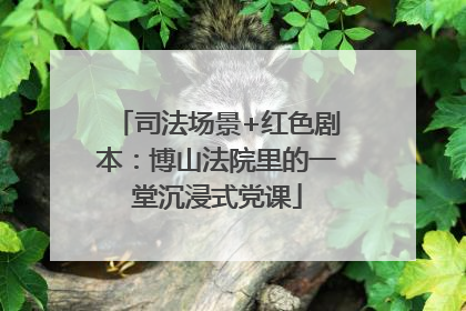 司法场景+红色剧本：博山法院里的一堂沉浸式党课