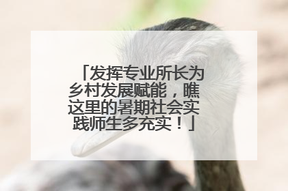 发挥专业所长为乡村发展赋能，瞧这里的暑期社会实践师生多充实！
