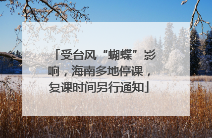 受台风“蝴蝶”影响，海南多地停课，复课时间另行通知