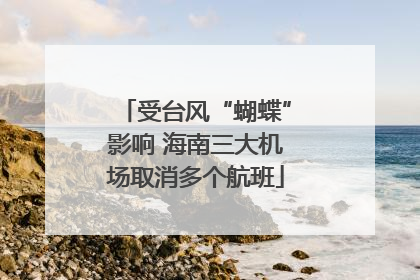 受台风“蝴蝶”影响 海南三大机场取消多个航班