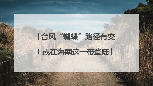 台风“蝴蝶”路径有变！或在海南这一带登陆