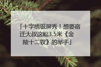 十字绣银屏秀！想要宿迁大叔这幅3.5米《金陵十二钗》的举手