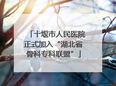 十堰市人民医院正式加入“湖北省骨科专科联盟”