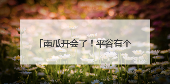 南瓜开会了！平谷有个可可爱爱的南瓜王国