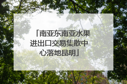 南亚东南亚水果进出口交易集散中心落地昆明