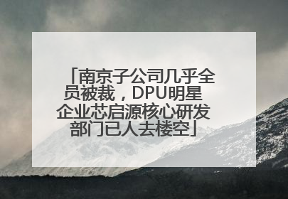南京子公司几乎全员被裁，DPU明星企业芯启源核心研发部门已人去楼空