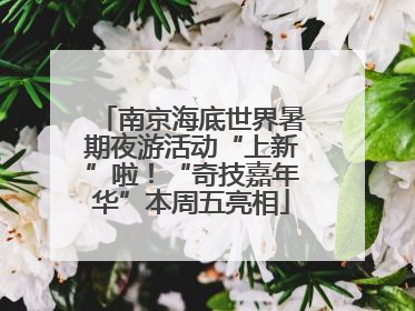 南京海底世界暑期夜游活动“上新”啦！“奇技嘉年华”本周五亮相