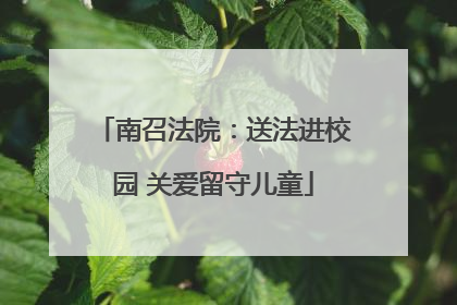 南召法院：送法进校园 关爱留守儿童