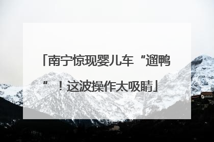 南宁惊现婴儿车“遛鸭”！这波操作太吸睛