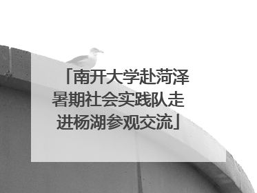 南开大学赴菏泽暑期社会实践队走进杨湖参观交流