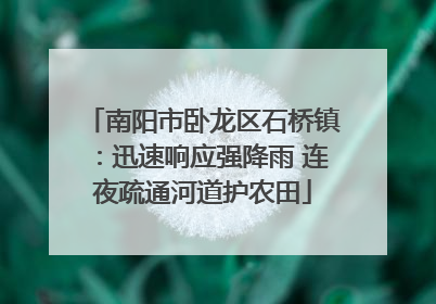南阳市卧龙区石桥镇：迅速响应强降雨 连夜疏通河道护农田