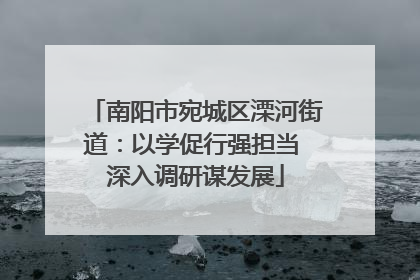 南阳市宛城区溧河街道：以学促行强担当 深入调研谋发展