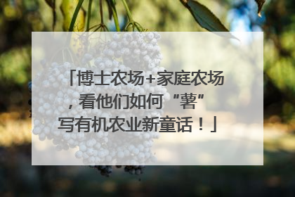博士农场+家庭农场，看他们如何“薯” 写有机农业新童话！