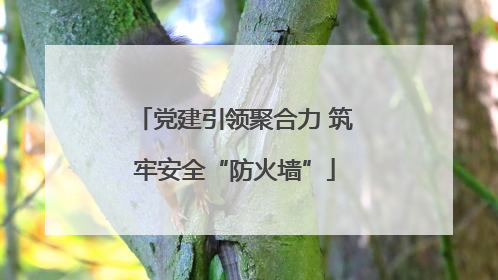 党建引领聚合力 筑牢安全“防火墙”