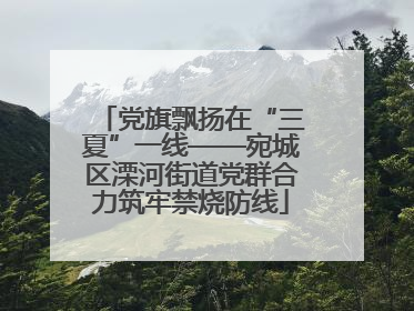 党旗飘扬在“三夏”一线——宛城区溧河街道党群合力筑牢禁烧防线