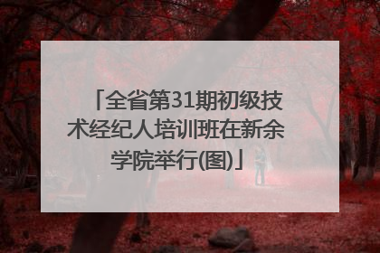 全省第31期初级技术经纪人培训班在新余学院举行(图)
