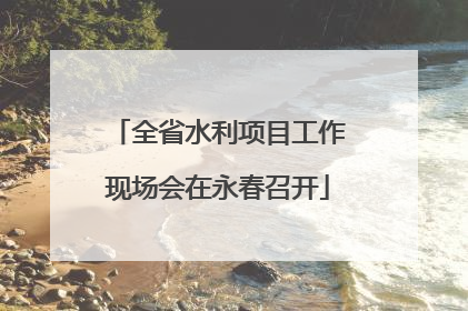 全省水利项目工作现场会在永春召开