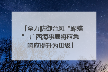 全力防御台风“蝴蝶” 广西海事局将应急响应提升为Ⅲ级