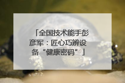 全国技术能手彭彦军：匠心巧辨设备“健康密码”