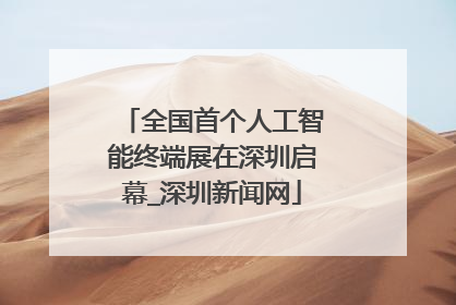 全国首个人工智能终端展在深圳启幕_深圳新闻网