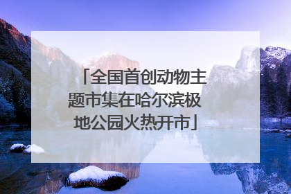 全国首创动物主题市集在哈尔滨极地公园火热开市