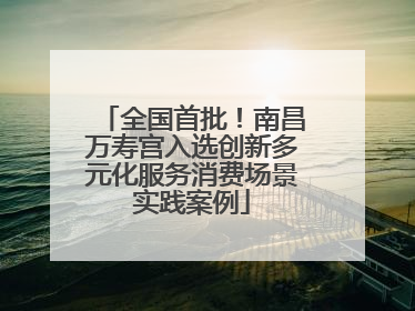 全国首批！南昌万寿宫入选创新多元化服务消费场景实践案例