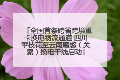 全国首条跨省跨境重卡换电物流通道 四川攀枝花至云南磨憨（关累）换电干线启动