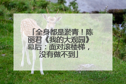 全身都是淤青！陈丽君《我的大观园》幕后：面对滚楼梯，没有做不到