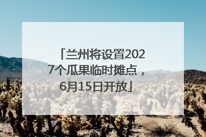 兰州将设置2027个瓜果临时摊点，6月15日开放