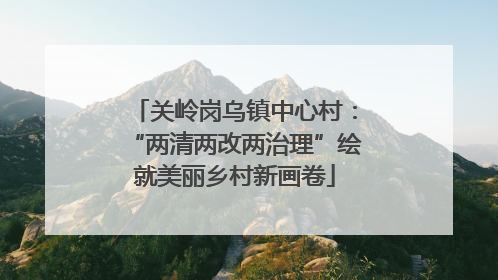 关岭岗乌镇中心村：“两清两改两治理”绘就美丽乡村新画卷