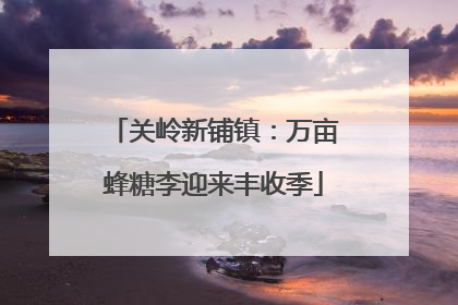 关岭新铺镇：万亩蜂糖李迎来丰收季