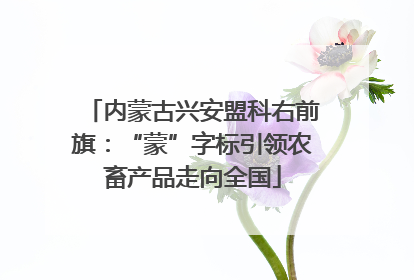 内蒙古兴安盟科右前旗：“蒙”字标引领农畜产品走向全国