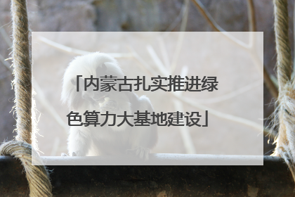 内蒙古扎实推进绿色算力大基地建设