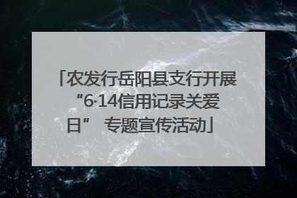 农发行岳阳县支行开展“6·14信用记录关爱日” 专题宣传活动
