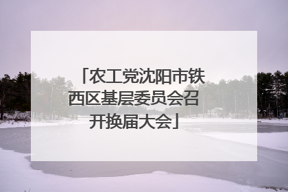 农工党沈阳市铁西区基层委员会召开换届大会