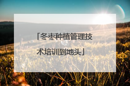 冬枣种植管理技术培训到地头