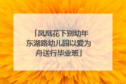 凤凰花下别幼年 东湖路幼儿园以爱为舟送行毕业班