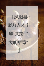 凤阳县：聚力人才引擎 共绘“大明华章”