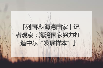 列国鉴·海湾国家丨记者观察：海湾国家努力打造中东“发展样本”