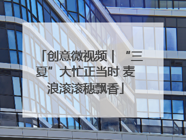 创意微视频｜“三夏”大忙正当时 麦浪滚滚穗飘香