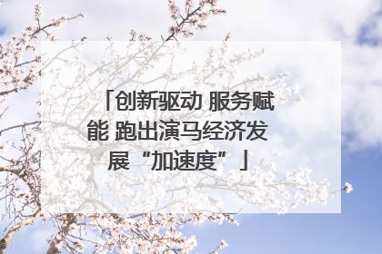 创新驱动 服务赋能 跑出演马经济发展“加速度”