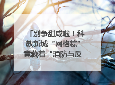 别争甜咸啦！科教新城“网格粽”竟藏着“消防与反诈秘籍”