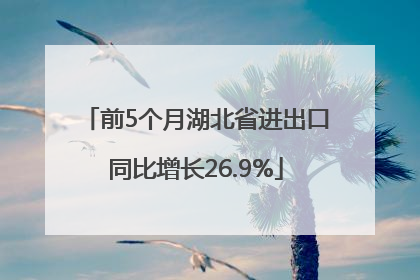 前5个月湖北省进出口同比增长26.9%