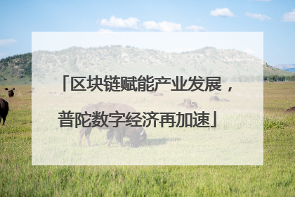 区块链赋能产业发展，普陀数字经济再加速