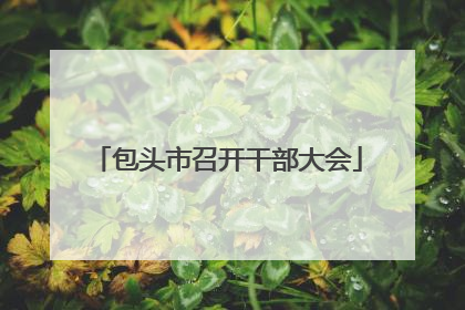 包头市召开干部大会