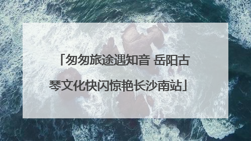 匆匆旅途遇知音 岳阳古琴文化快闪惊艳长沙南站