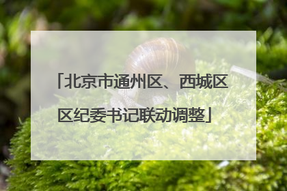 北京市通州区、西城区区纪委书记联动调整
