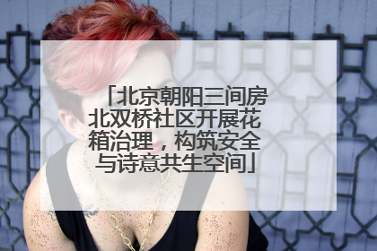 北京朝阳三间房北双桥社区开展花箱治理，构筑安全与诗意共生空间