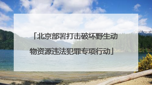 北京部署打击破坏野生动物资源违法犯罪专项行动