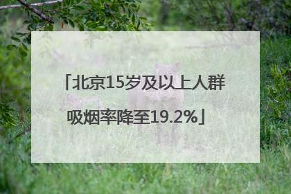 北京15岁及以上人群吸烟率降至19.2%